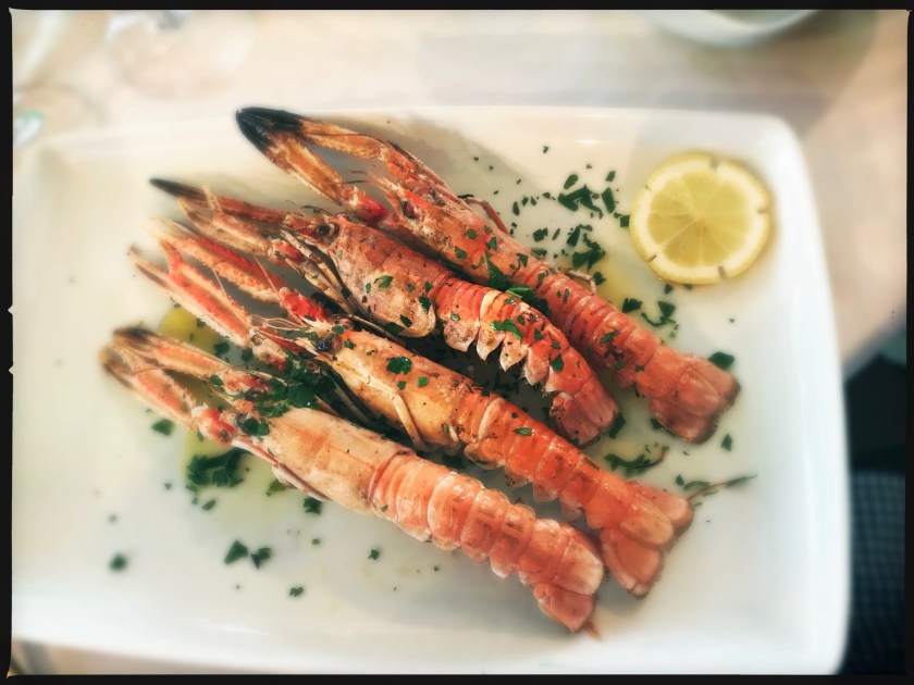 HipstamaticPhoto-519570365.820407