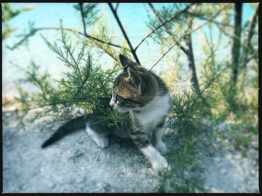 HipstamaticPhoto-519898781.415484