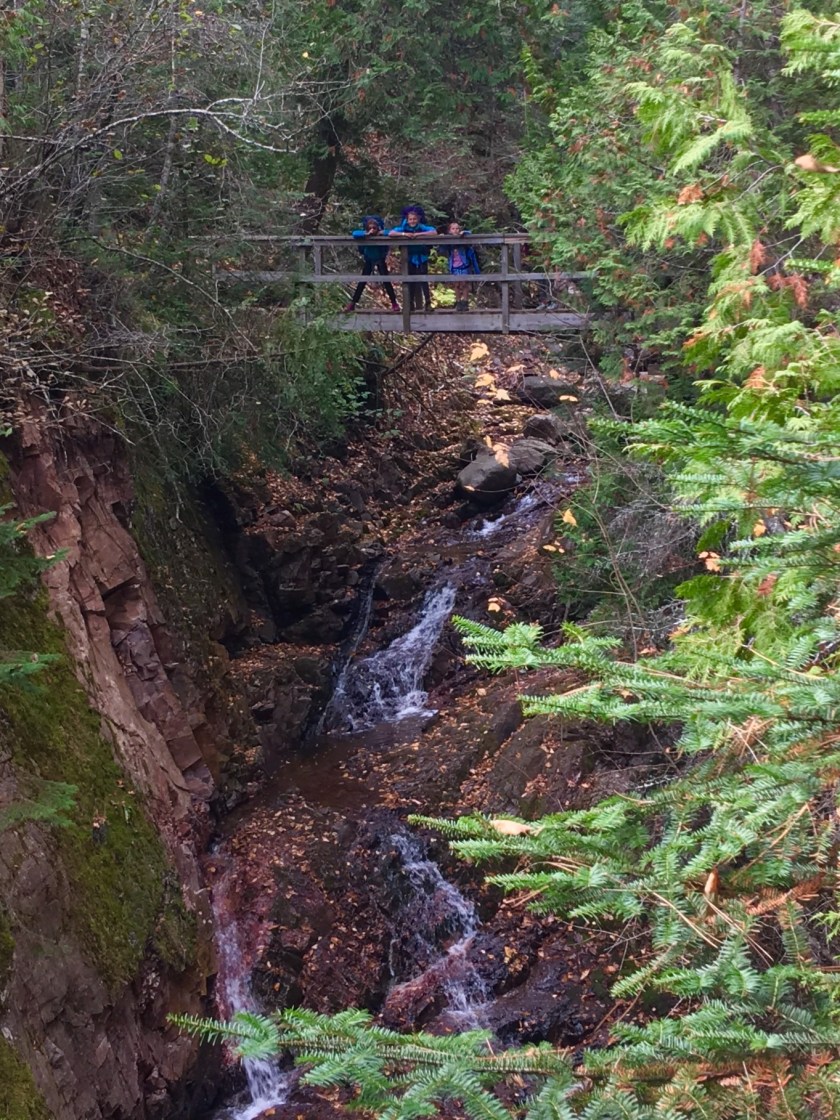 C7B85D8A-A7C7-42E8-979F-4DC4A8DEFAF2