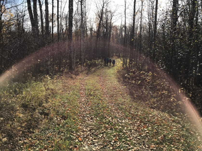 E083C2D6-0F58-4C32-94FB-32A7DA276944